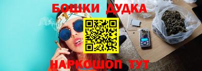 индика Рыбинск