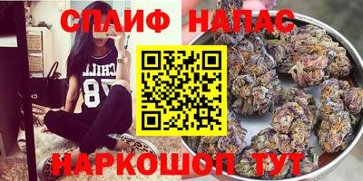 индика Рыбинск