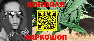 индика Рыбинск