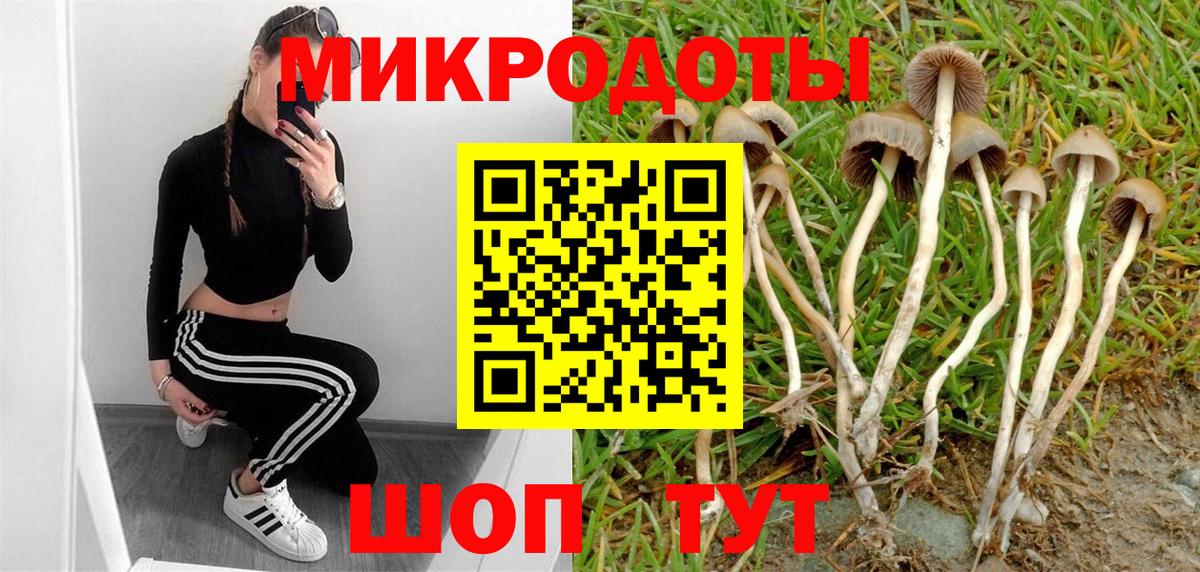 Галлюциногенные грибы Cubensis  как найти   Амурск  Вход с VPN 