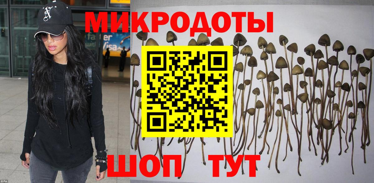 Псилоцибиновые грибы прущие грибы Амурск