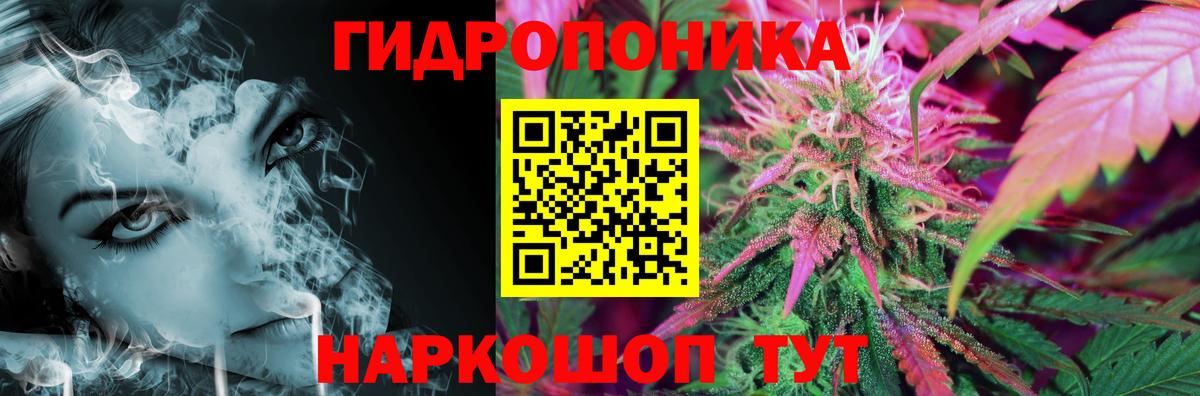 Каннабис планчик  Вход с VPN  Бошки Шишки SATIVA & INDICA  Канабис семена  Амурск 